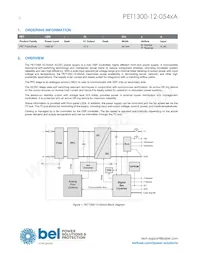 PET1300-12-054NAE Datasheet Page 2