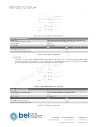 PET1300-12-054NAE Datasheet Pagina 11