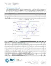 PET1300-12-054NAE Datasheet Page 13