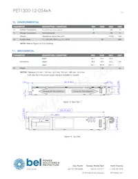 PET1300-12-054NAE Datasheet Page 15