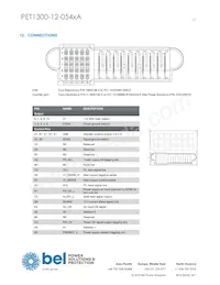 PET1300-12-054NAE數據表 頁面 17