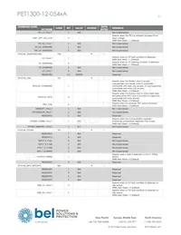 PET1300-12-054NAE Datasheet Page 21