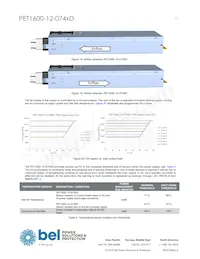 PET1600-12-074RD數據表 頁面 17