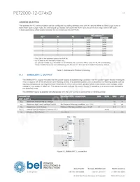 PET2000-12-074RD Datasheet Page 13