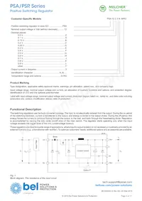 PSR242-9RG Datasheet Page 3