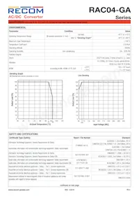 RAC04-09SGA Datasheet Page 4