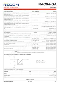 RAC04-09SGA Datasheet Page 5