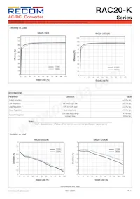 RAC20-24SK/W Datenblatt Seite 3