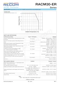 RACM30-12SER Datasheet Page 4