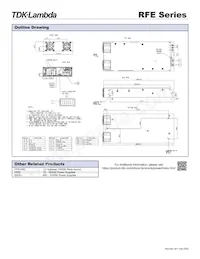 RFE1000-48-Y Datasheet Page 2