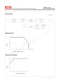 RPS-65-48 Datenblatt Seite 3