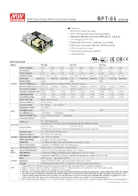 RPT-65F-C Datasheet Cover