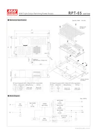 RPT-65F-C Datasheet Page 2