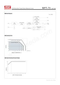 RPT-7503 Datenblatt Seite 4