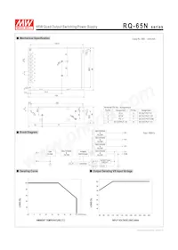 RQ-65B Datasheet Pagina 2