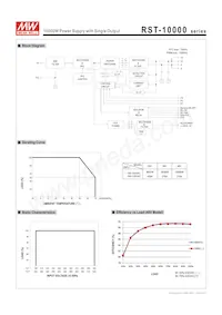 RST-10000-24 Datasheet Page 3