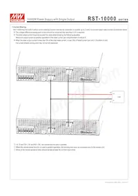 RST-10000-24 Datasheet Page 8