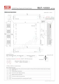 RST-10000-24 Datasheet Page 9