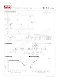 RT-85A Datasheet Page 2