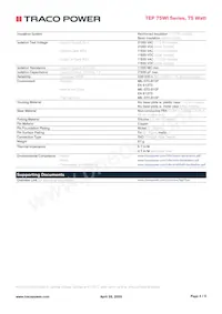 TEP 75-7211WI-CMF Datasheet Page 4