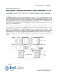 TET4000-48-069RA Datasheet Pagina 2