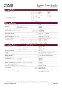 TZL 300-4824 Datasheet Page 2