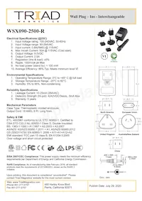 WSX090-2500-R Datenblatt Cover