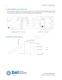0RCY-60U050 Datasheet Page 10