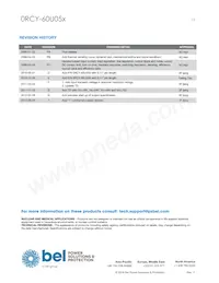 0RCY-60U050 Datasheet Pagina 13