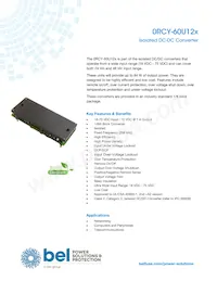 0RCY-60U12L Datasheet Cover