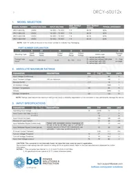 0RCY-60U12L Datasheet Page 2