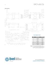 0RCY-60U12L Datenblatt Seite 10