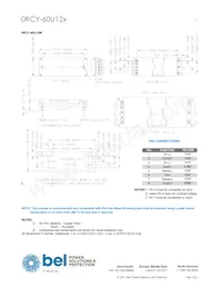 0RCY-60U12L Datasheet Pagina 11