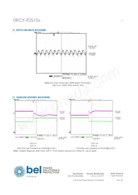 0RCY-F0S10BG Datasheet Pagina 11