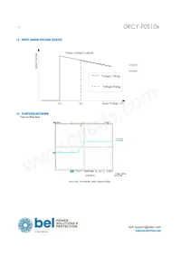 0RCY-F0S10BG Datasheet Page 12