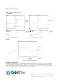 0RCY-F0S10BG Datasheet Page 13