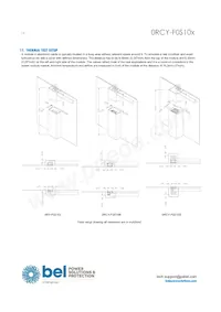 0RCY-F0S10BG Datasheet Page 14