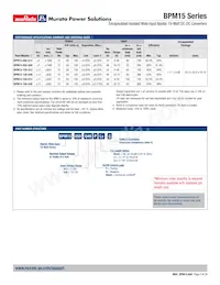 BPM15-050-Q12N-C Datasheet Pagina 2