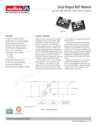 BST-12/125-D12-C 데이터 시트 표지