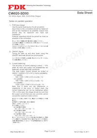 CW020-SD00 Datasheet Pagina 13