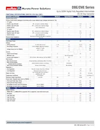 DBE0125V2P2BSC Datasheet Page 13