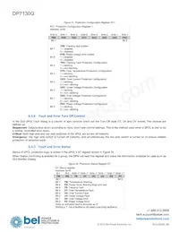 DP7130G-R100 Datasheet Page 21