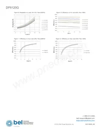 DP8120G-T100 Datenblatt Seite 9