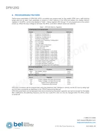 DP8120G-T100 Datasheet Page 10
