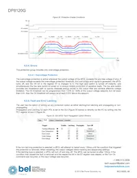 DP8120G-T100 Datenblatt Seite 20