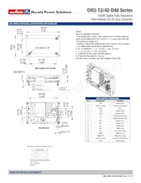 DRQ-12/42-D48NKA-C Datasheet Page 10