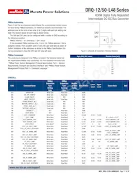 DRQ-12/50-L48PKSA-C Datasheet Page 17