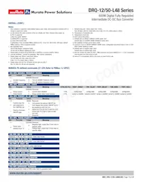 DRQ-12/50-L48PKSA-C Datasheet Pagina 19