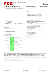 FGMD12SWR6006PA Datenblatt Cover