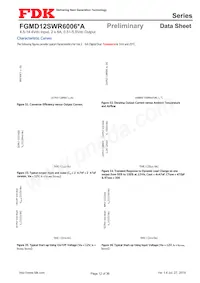 FGMD12SWR6006PA Datasheet Pagina 12